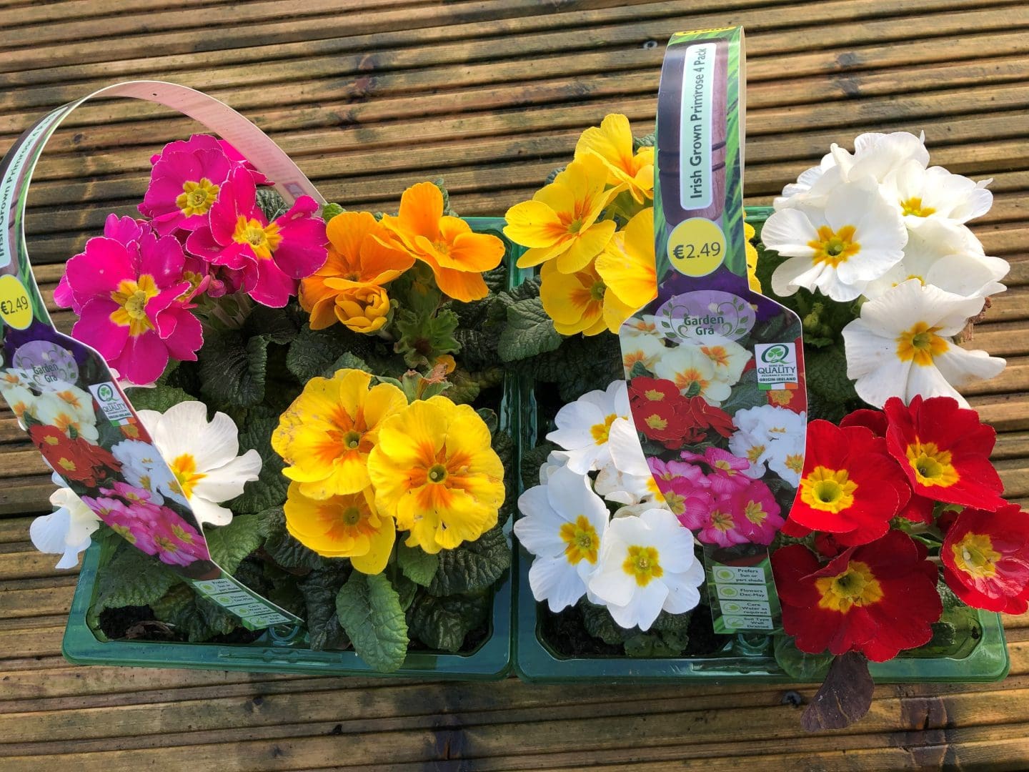 GROW WITH LAKERS The Garden in March Plant a seed and watch it grow